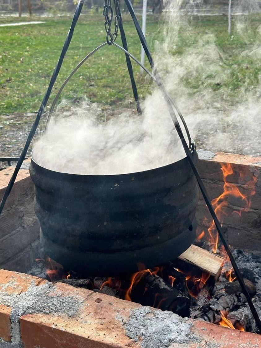 Brvnara Bata - Vikendica Na Drini Lipnicki Sor